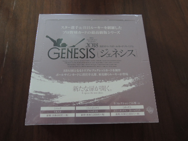 BBM 2021 チアリーダーカード華 宮川麻衣子さんチェキカード BBM 2021