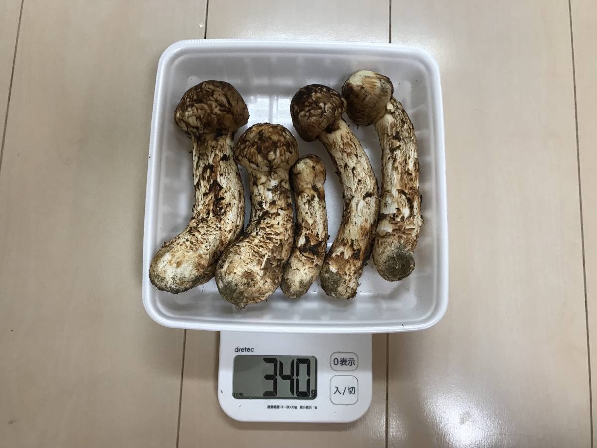 【北海道産地】9月7日収穫！美味しい松茸　239g まつたけ | マツタケ 信州産松茸9月3日本日午前中採れ 公式通販 - 限定