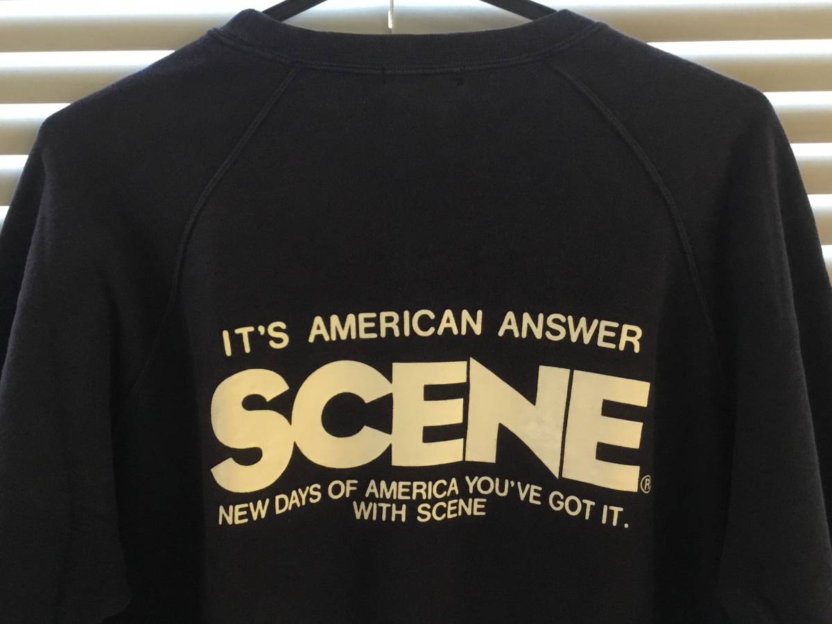 SCENE IT