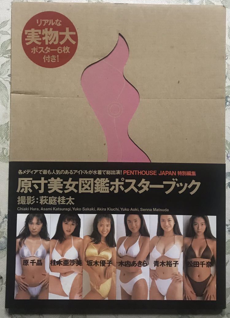 原寸美女図鑑ポスターブック 青木裕子、原千晶、坂木優子、桂木亜沙美