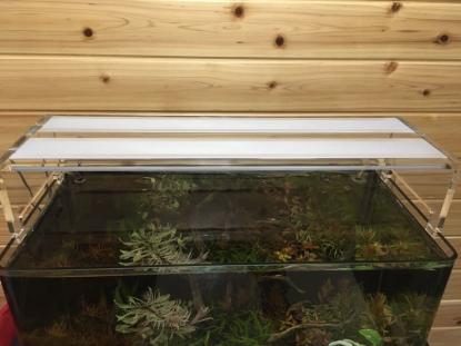 ADA アクアスカイG602 新品 【公式通販】