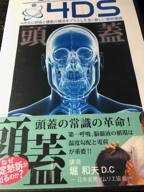 【美品】4DS治療革命 DVD 2枚セット 堀和夫 4DS 頭蓋革命 DVD / 堀和夫 本、雑誌 健康と医学 【公式通販】