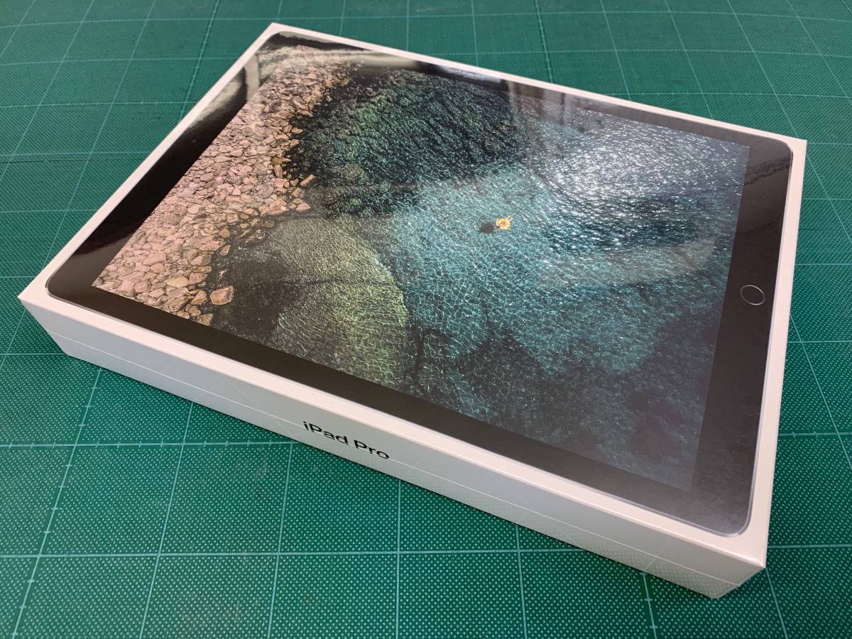 iPad Pro Apple (12.9インチ) Pro（12.9インチ）（第2世代）Wifiと 