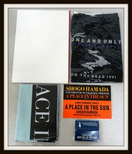 浜田省吾 ONE AND ONLYのYahoo!オークション(旧ヤフオク!)の相場・価格