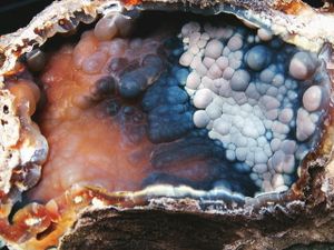 化石 サンゴのYahoo!オークション(旧ヤフオク!)の相場・価格を見る