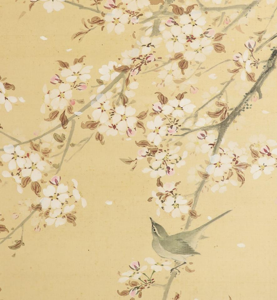 真作】◇沼田荷舟◇桜◇花鳥図◇春◇肉筆◇絹本◇掛軸◇e596