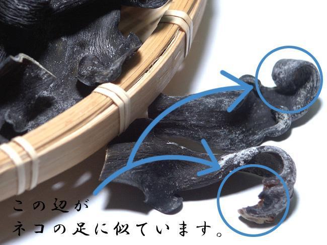 最高級 根昆布粉末 100g 8袋セット 天然のねこ足根昆布をそのままに (水に溶かすだけでネコ足根昆布水が出来ます)