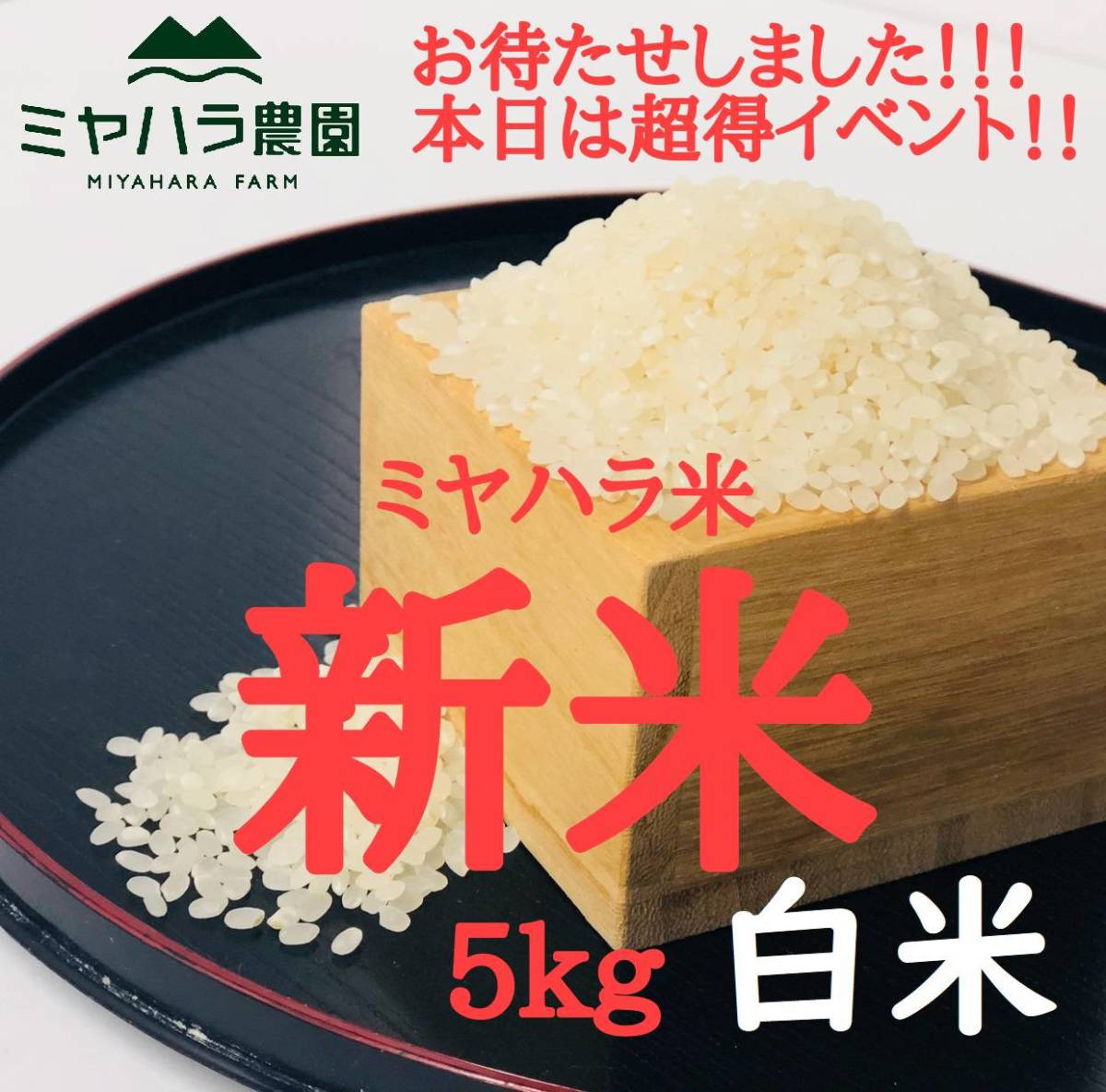 トリップトラップ ストッケ ホワイトウォッシュ 送料無料ストッケ 