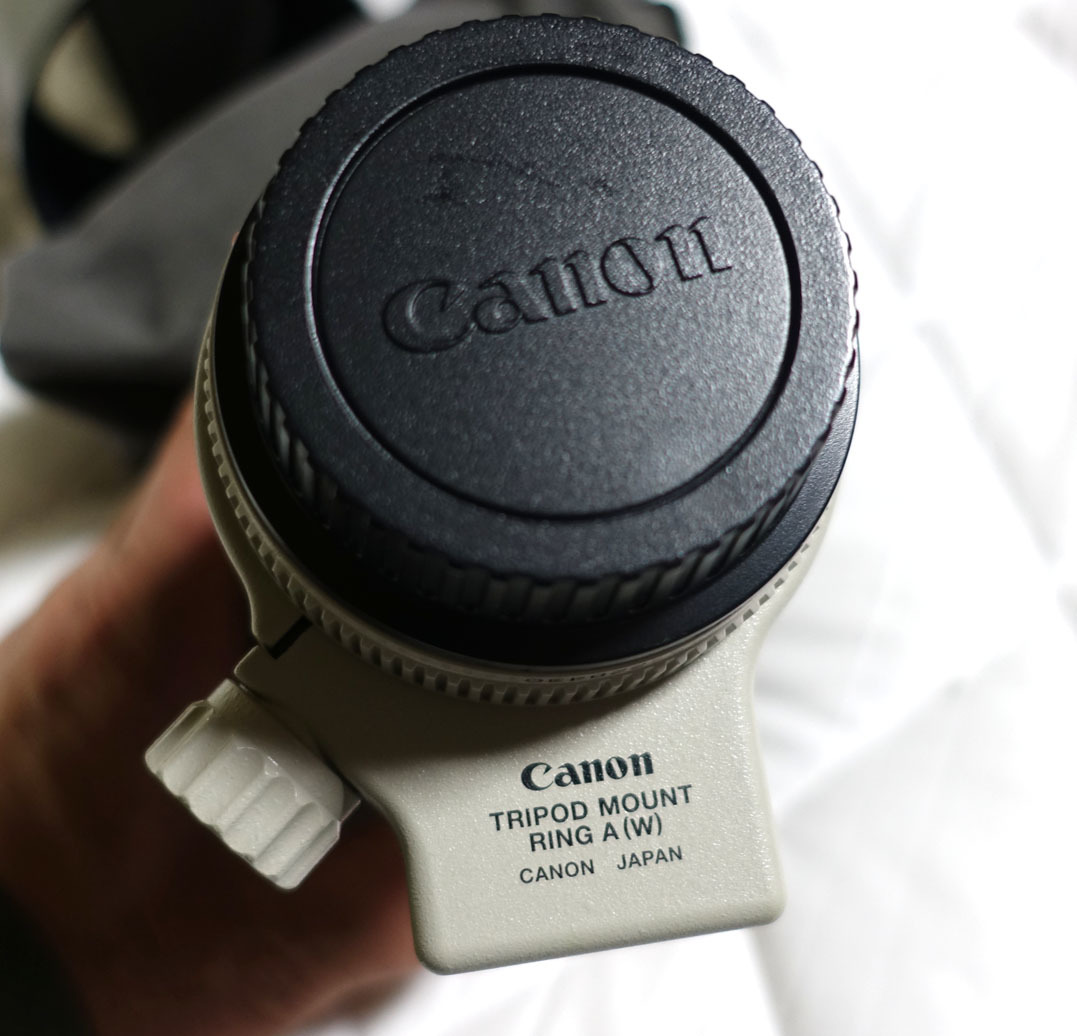 オーバーホール済 CANON キヤノン EF70-200mm F4L 公式通販 オーバーホール済 CANON キヤノン EF70-200mm F4L 公式通販
