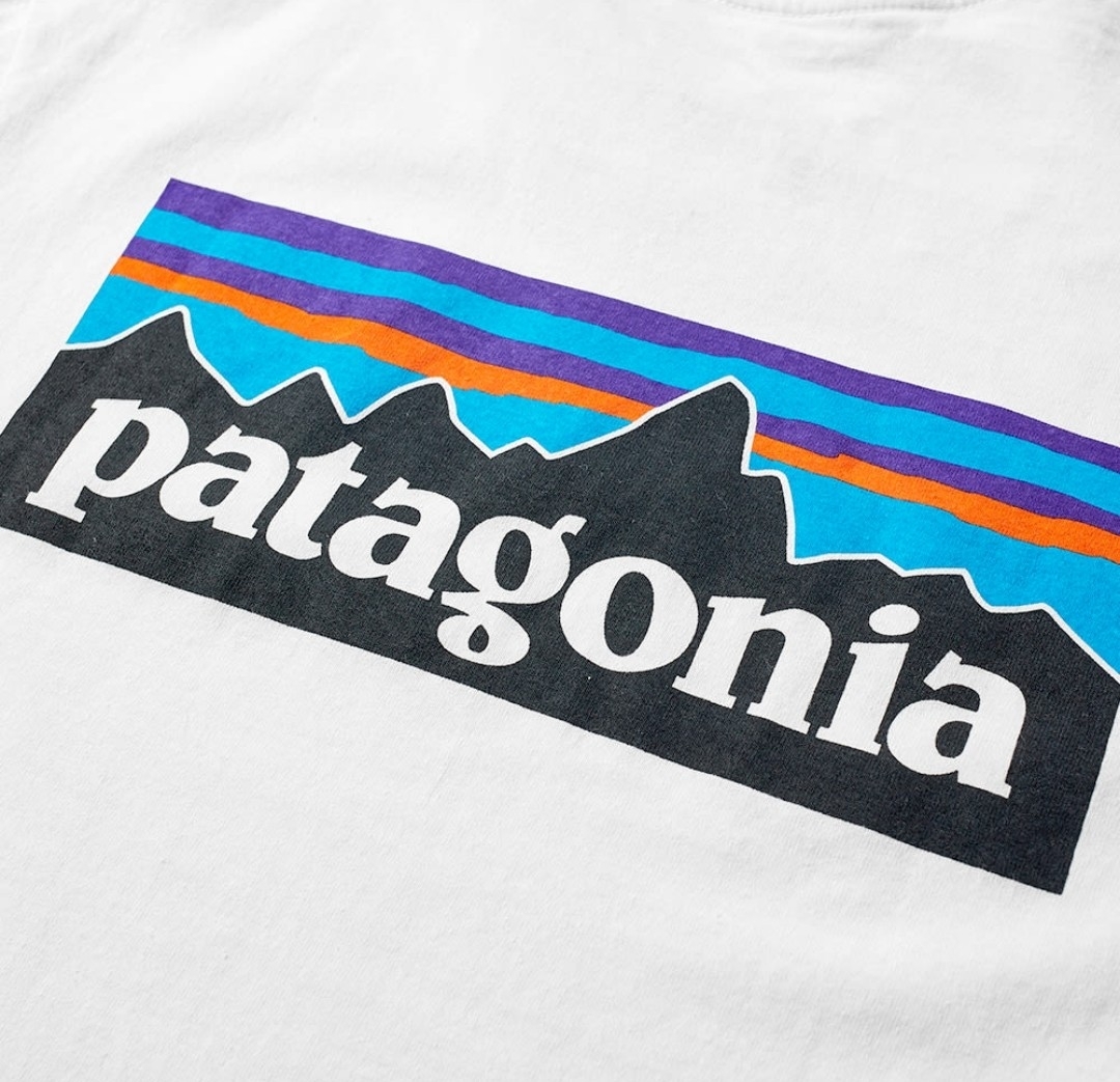 Mサイズ パタゴニア tシャツ ロゴt P-6ロゴ レスポンシビリティー