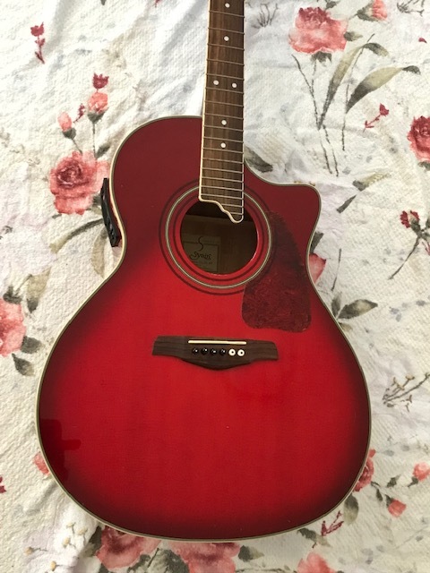S.yaili エレアコ YE-35 WB