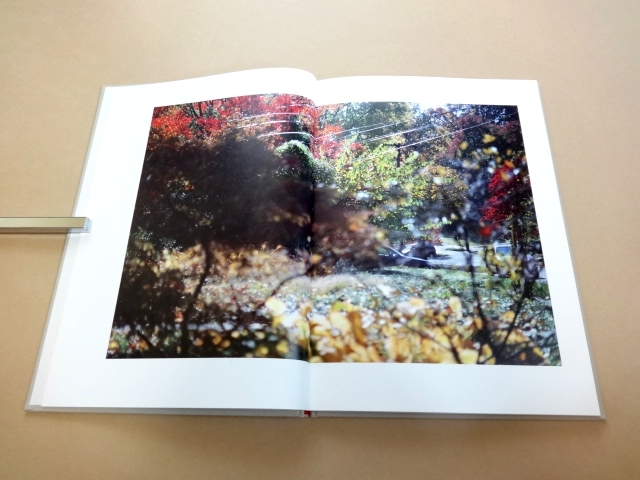 ☆ テリ・ワイフェンバック Terri Weifenbach 限定500部 写真集
