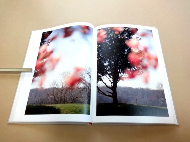 Terri Weifenbach 写真集 STILLL　500部限定版 ☆ テリ・ワイフェンバック Terri Weifenbach 限定500部 写真集