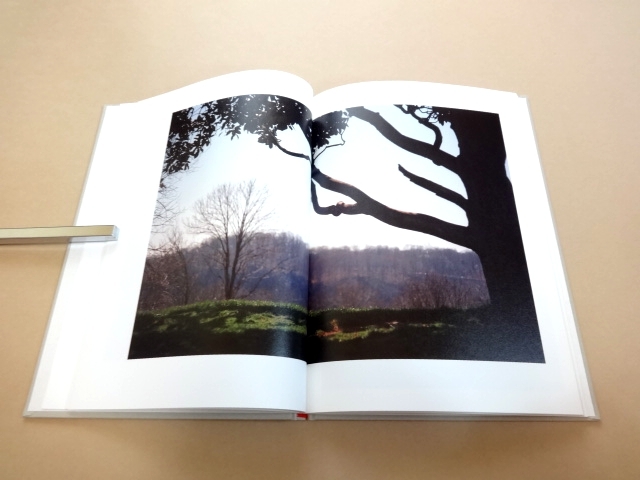 Terri Weifenbach 写真集 STILLL　500部限定版 ☆ テリ・ワイフェンバック Terri Weifenbach 限定500部 写真集