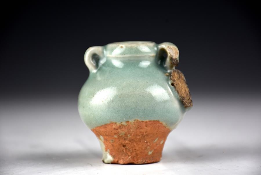 侍】 中国古玩 清代 色絵 水鳥に水草図 大鉢 水鉢 植木鉢 盆栽 A775