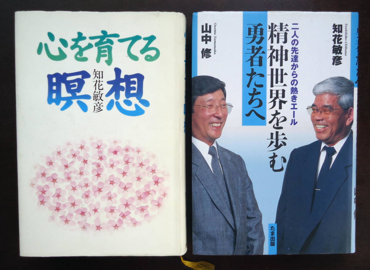 必見 秘伝の書 フラワーレメディ 8枚 DVD 清水義久 一覧表 大除霊表