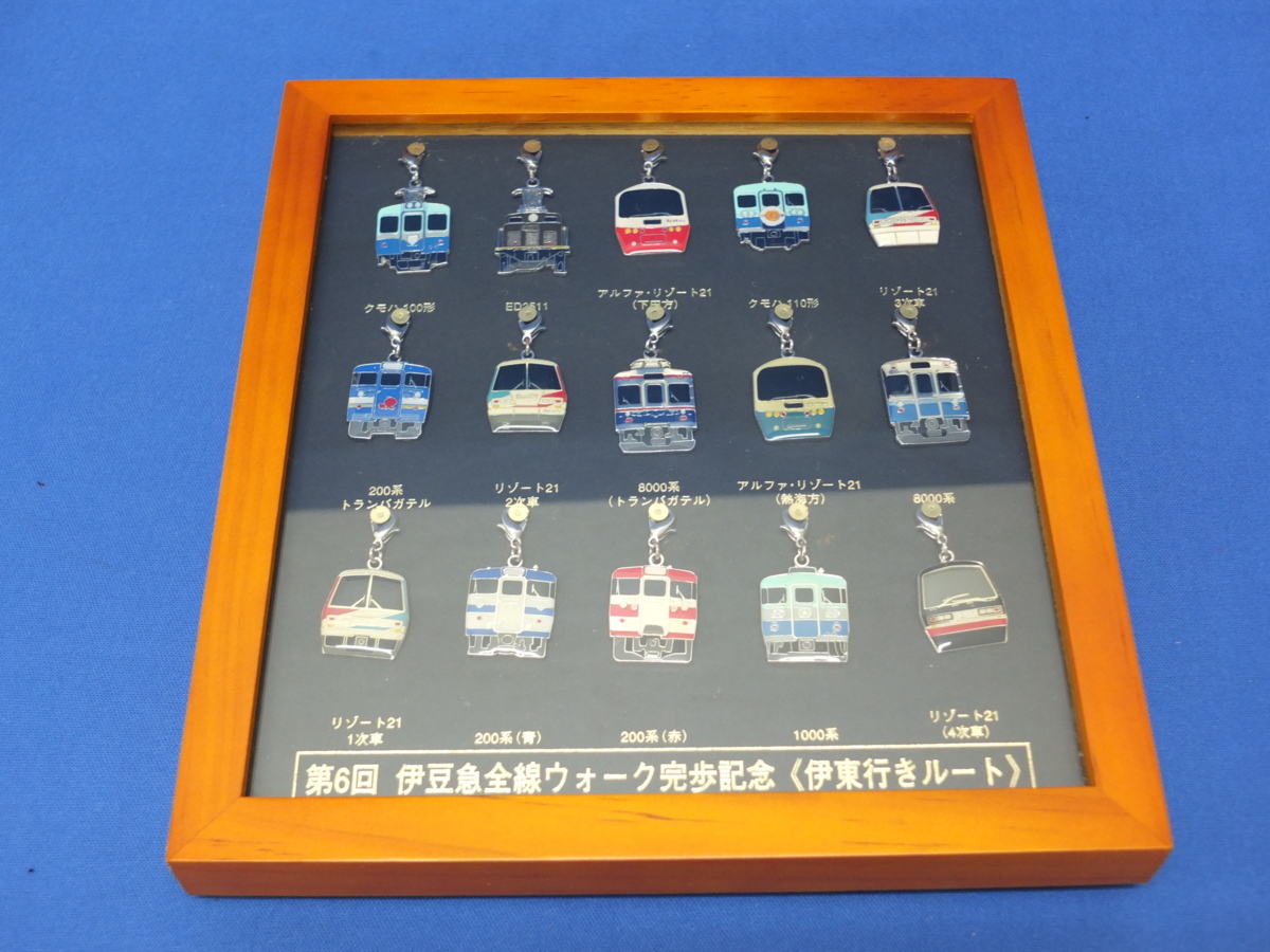 第6回 メルカリ 非売品 第6回伊豆急全線ウォーク 完走記念ピンバッジ