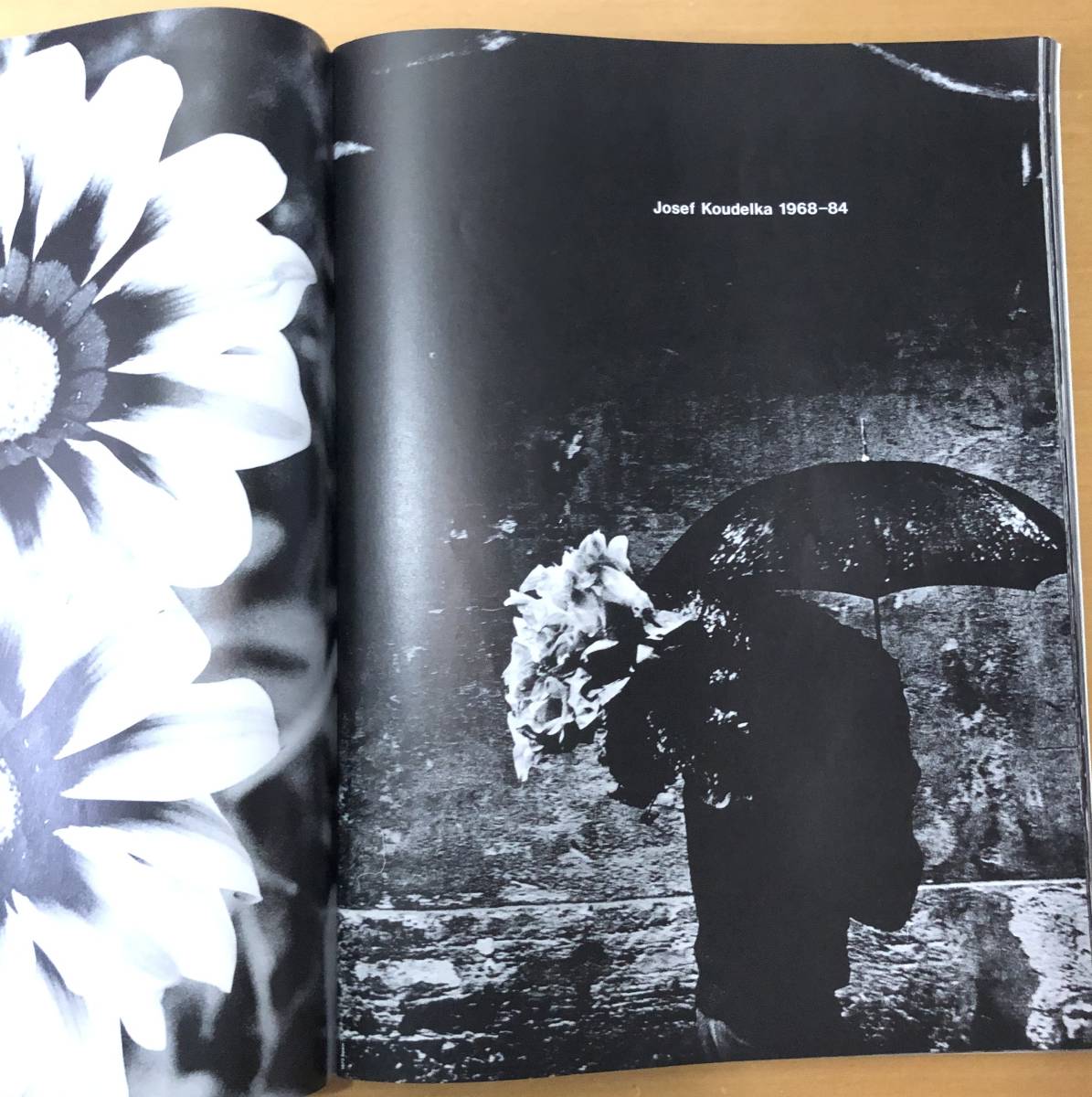 希少】COMME des GARÇONS コムデギャルソン アート 写真集