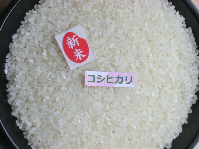 新米! 令和元年産 コシヒカリ 精米 25kg