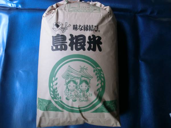 新米! 令和元年産 コシヒカリ 精米 25kg