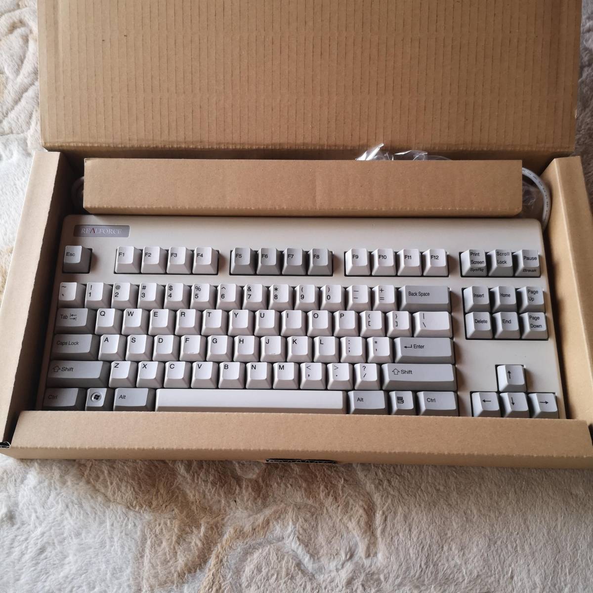 東プレ Realforce SE0500 US配列 英語キーボード テンキーレス 静電