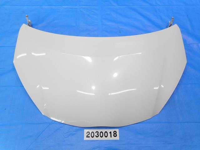 v723882883.1