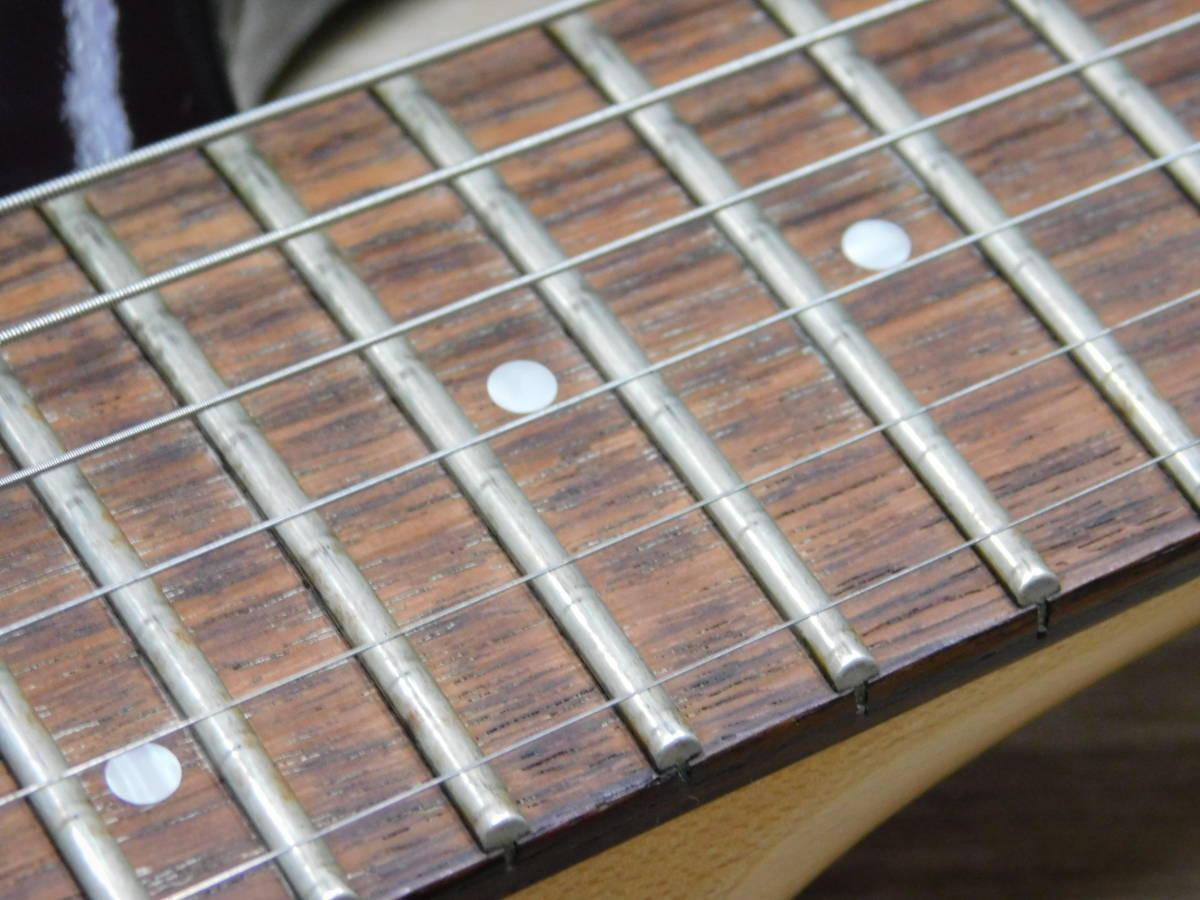 FERNANDES APG-85S 希少 サスティナー搭載 整備済 ケース付き 中古