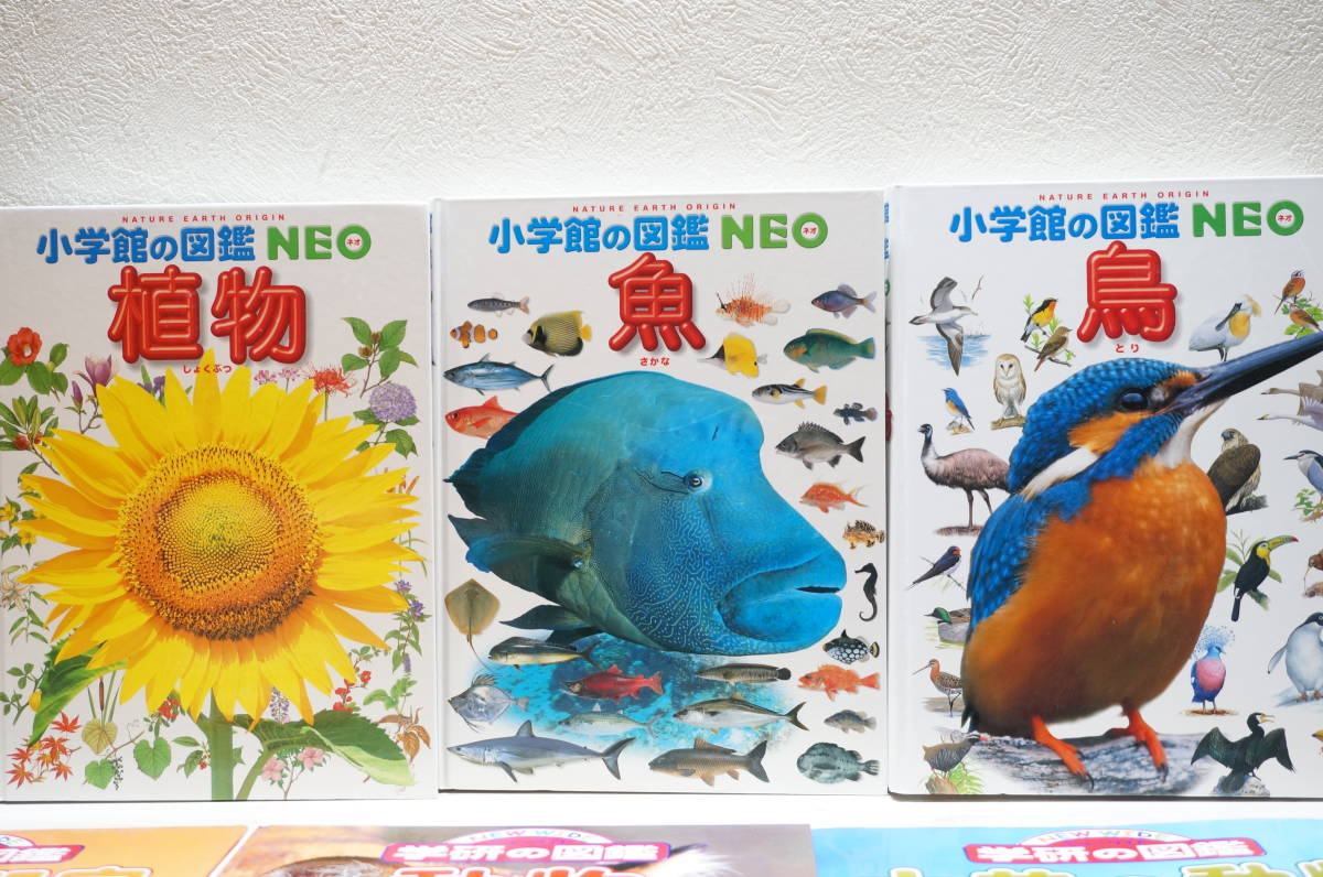 F40E 図鑑 14冊セット 学研の図鑑 小学館の図鑑 21世紀幼稚園百科 植物