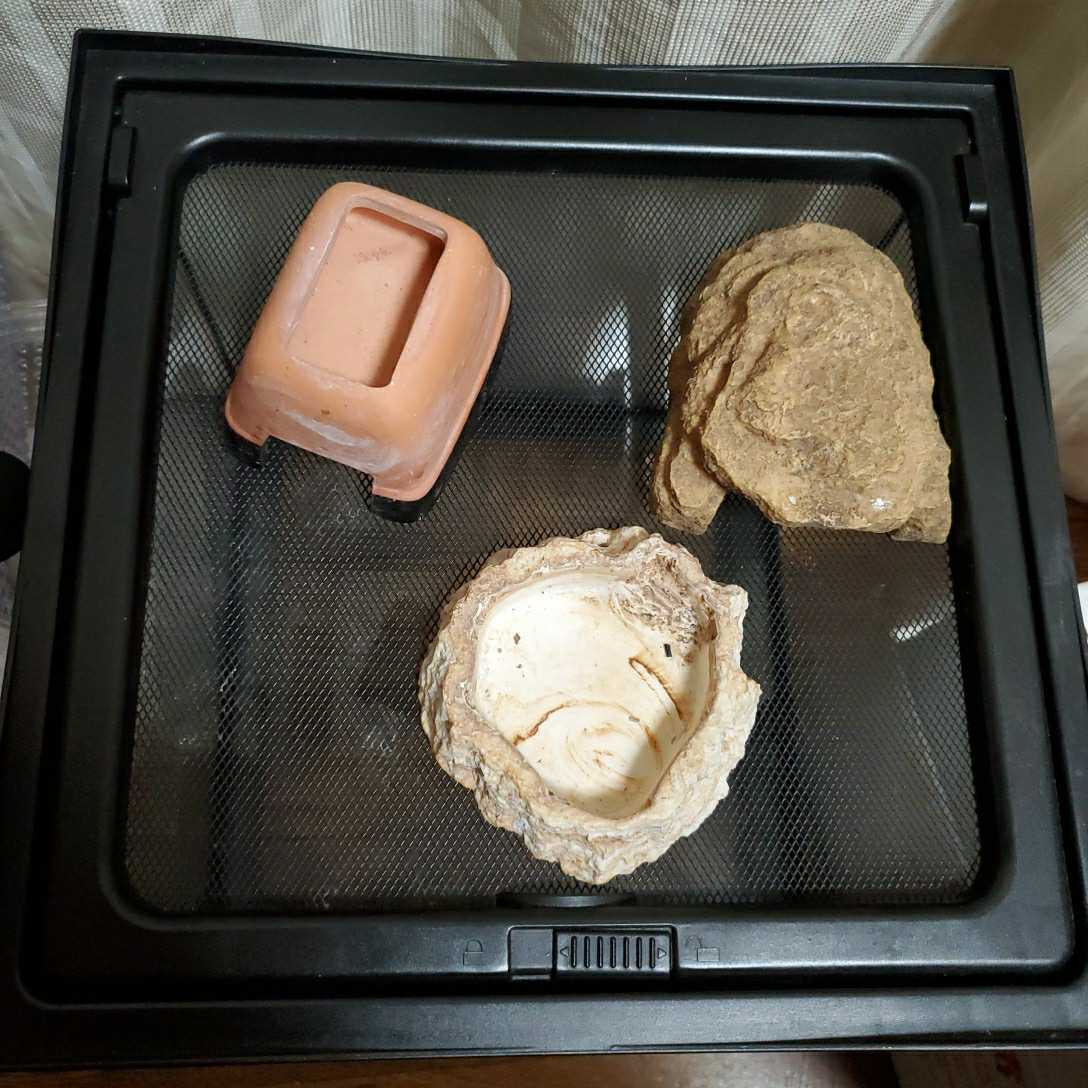 0 スドー - | メルカリ レプティギア 爬虫類 箱なし レプティギア・ハイ300 まとめ売り 飼育 REPTIGEAR 飼育ケース 1 ５個セット （１個