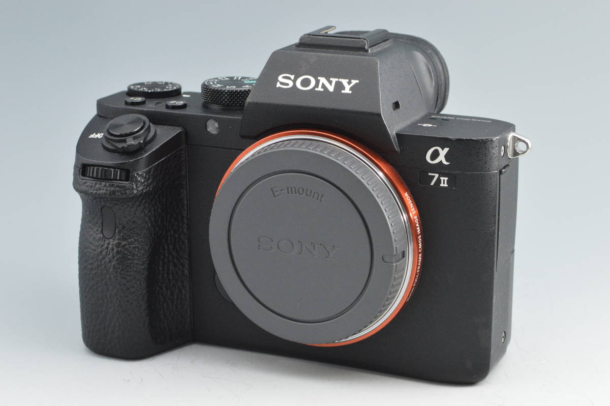 Canon EOS-1DX ボディ シャッター15万以下 防湿庫保管 良品