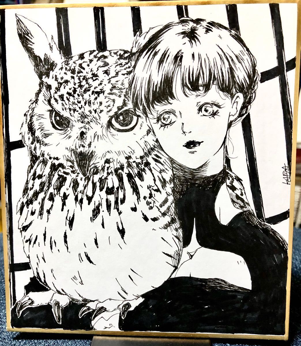 手描きイラスト ミミズクの檻 手描きイラスト 売買されたオークション情報 Yahooの商品情報をアーカイブ公開 オークファン Aucfan Com