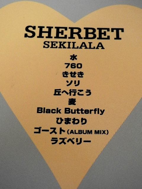本 SHERBET (SHERBETS) ギタースコア シャーベッツ 浅井健一