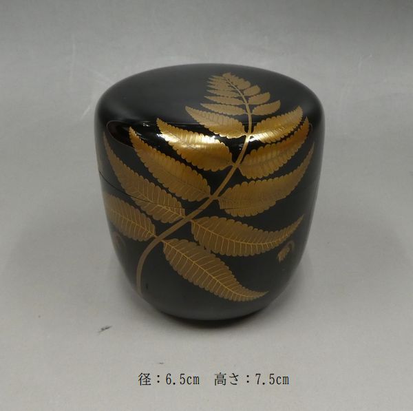 渡辺隆 菊 桐 香合 共箱 茶碗