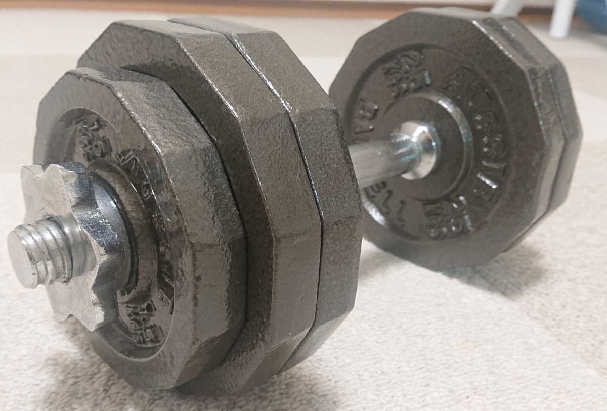 オージー バーベル ダンベル 15kg 12角 25Φ プレート 15kg ダンベル
