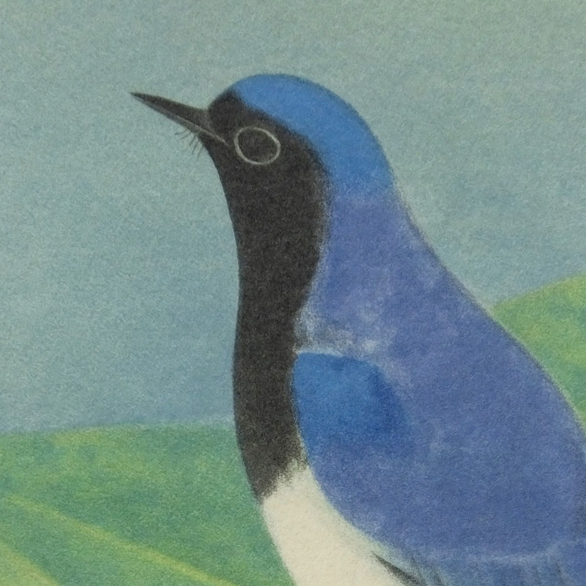 最終値下げ【おたからや美術画廊】上村淳之○緑陰 動物画 鳥 小禽 木陰