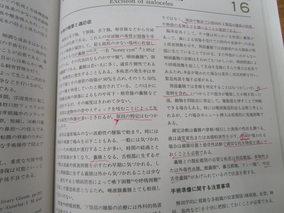△01)獣医外科手術/竹内啓/講談社/1994年/獣医学/生物学/動物/ペット