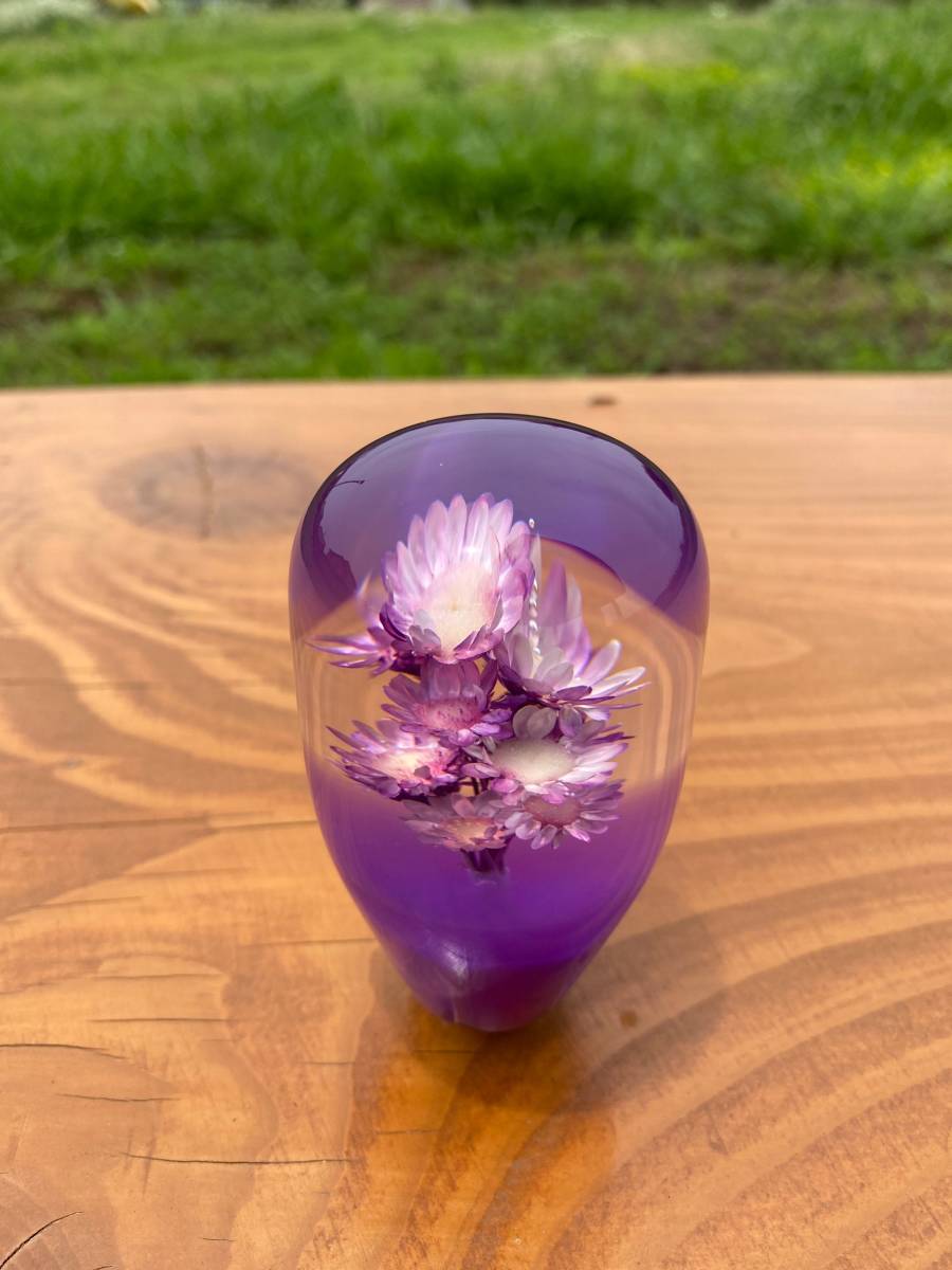 水中花シフトノブ シフトノブ 水中花 生花作品 本物蘭 : ALTEED