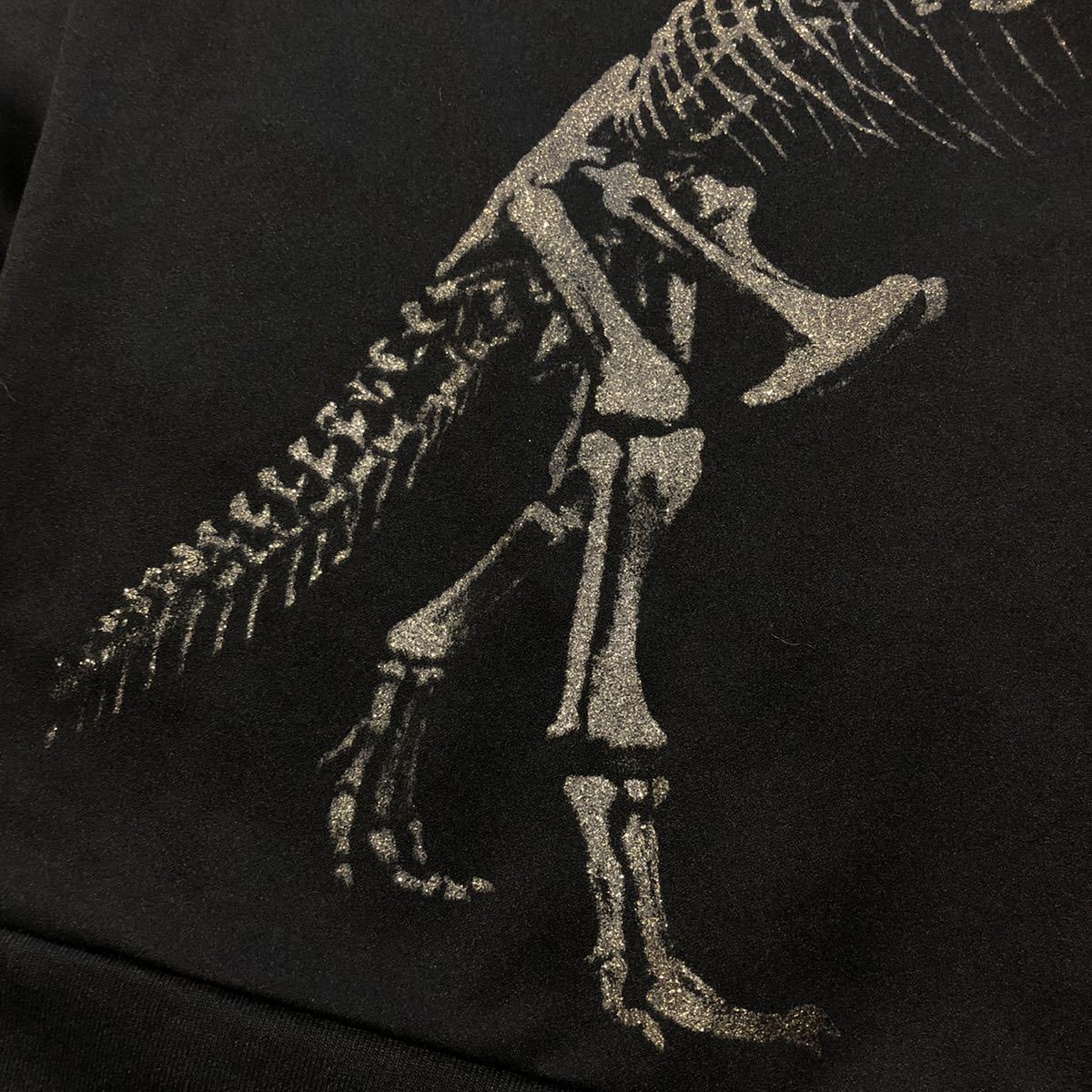 DRESS CAMP ドレスキャンプ Champion チャンピオン T-REX 恐竜
