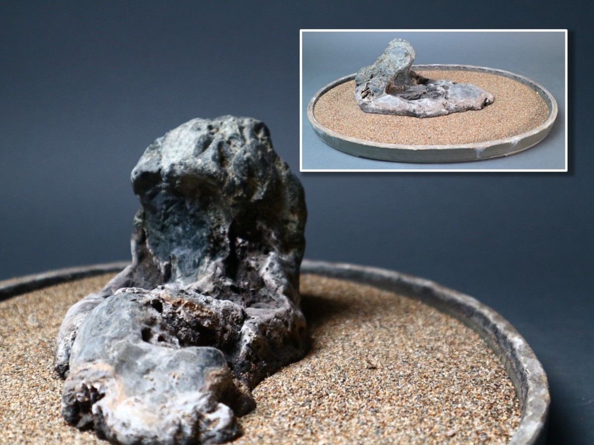 【限定SALE，豊富な】 天竜川 小黒川石 水盤付 水石 盆石 盆景 鑑賞石 天然石 自然石 中国古玩(盆栽用具)｜売買されたオークション情報、yahooの商品情報をアーカイブ公開 - オークファン その他