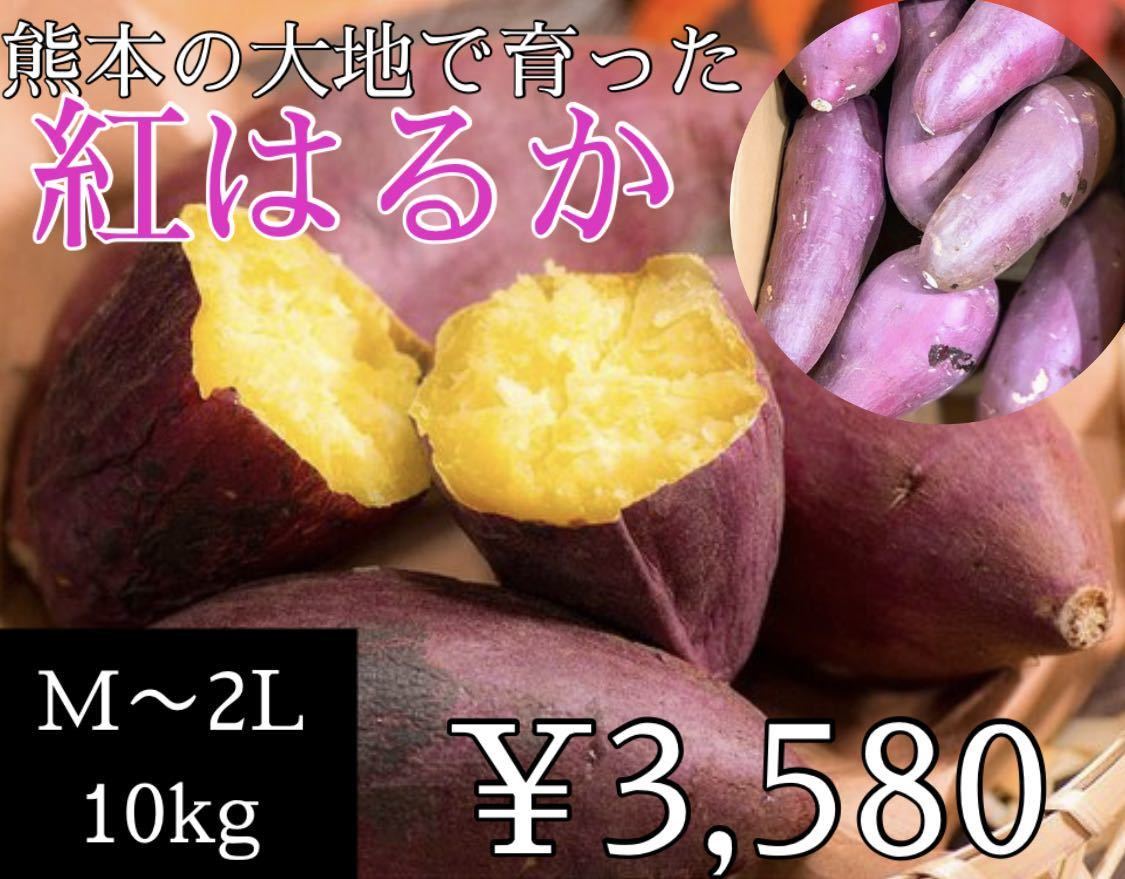  紅はるか10kg 熊本県産(さつまいも)｜売買されたオークション情報、yahooの商品情報をアーカイブ公開 - オークファン さつまいも