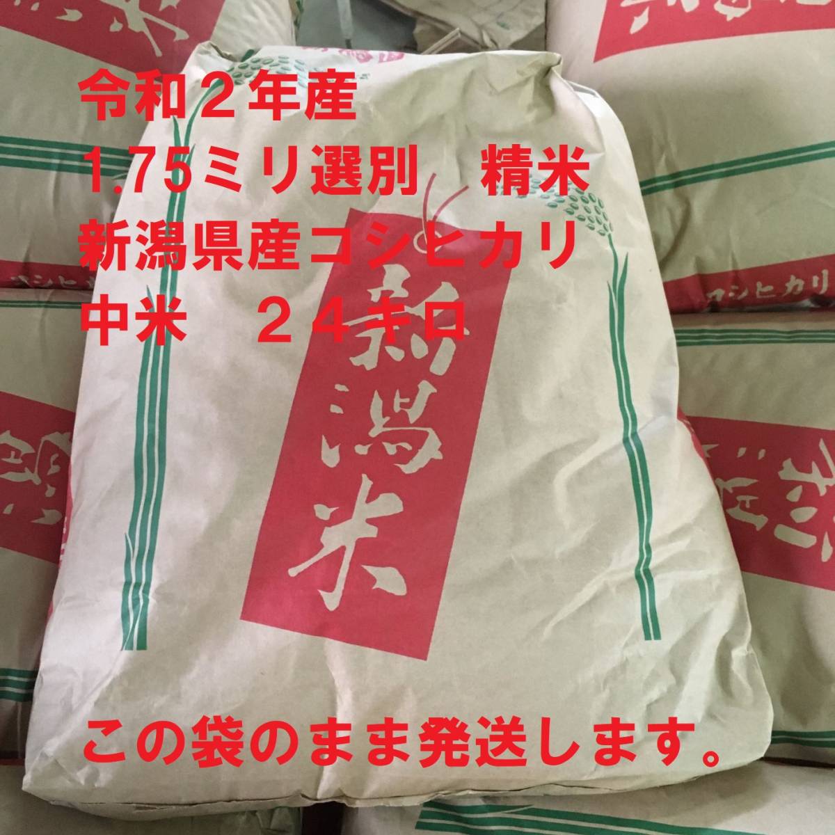 コシヒカリ 令和七年新潟県産コシヒカリ中米 新潟直送計画令和7年度米 
