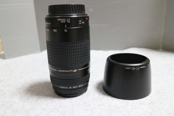 ☆ Canon キヤノン レンズ EF 75-300mm 1:4-5.6 Ⅱ Φ58mm USM + フード