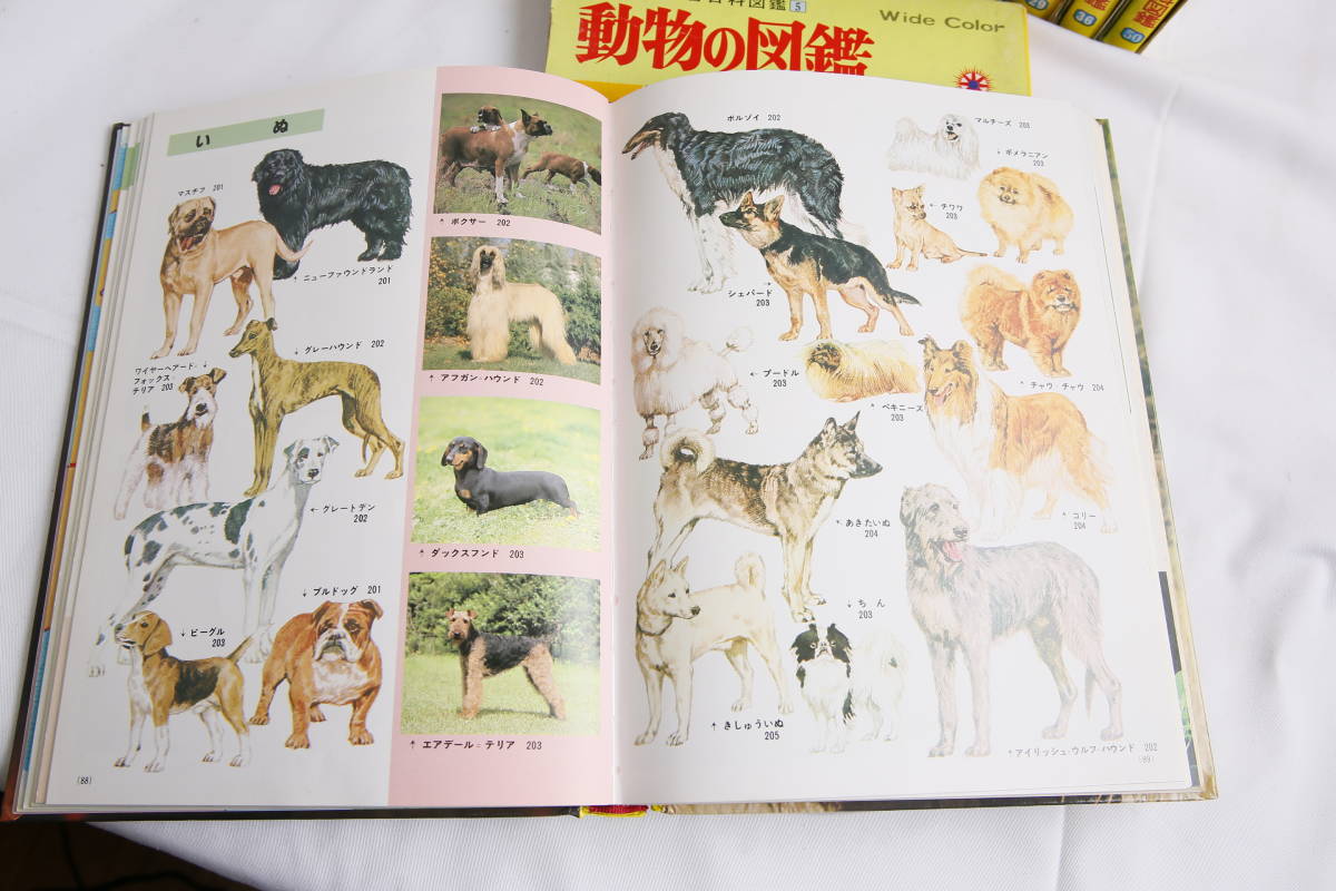 まとめて 学習百科 図鑑 15冊セット 夏休み 自由研究 恐竜 動物 昆虫 鉄道 工作 おうち時間 小学館 学研 図鑑 売買されたオークション情報 Yahooの商品情報をアーカイブ公開 オークファン Aucfan Com