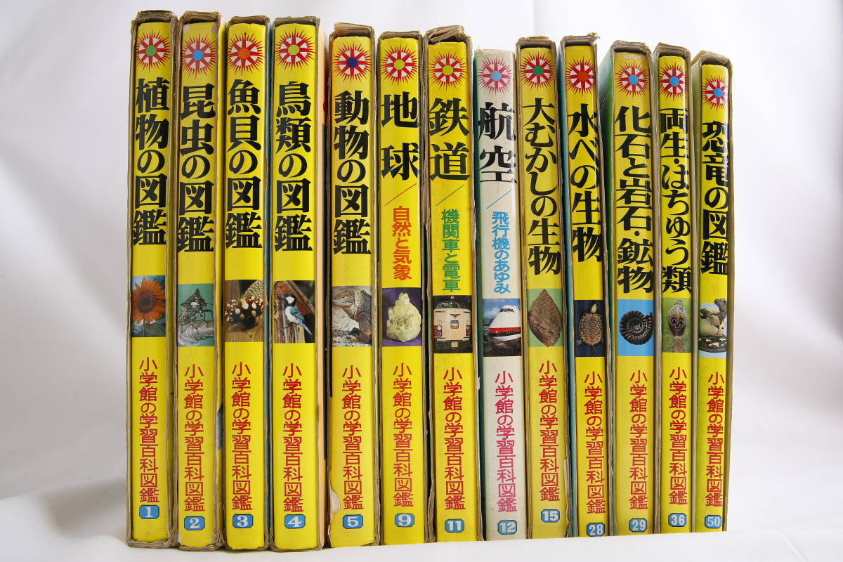 まとめて 学習百科 図鑑 15冊セット 夏休み 自由研究 恐竜 動物 昆虫 鉄道 工作 おうち時間 小学館 学研 図鑑 売買されたオークション情報 Yahooの商品情報をアーカイブ公開 オークファン Aucfan Com