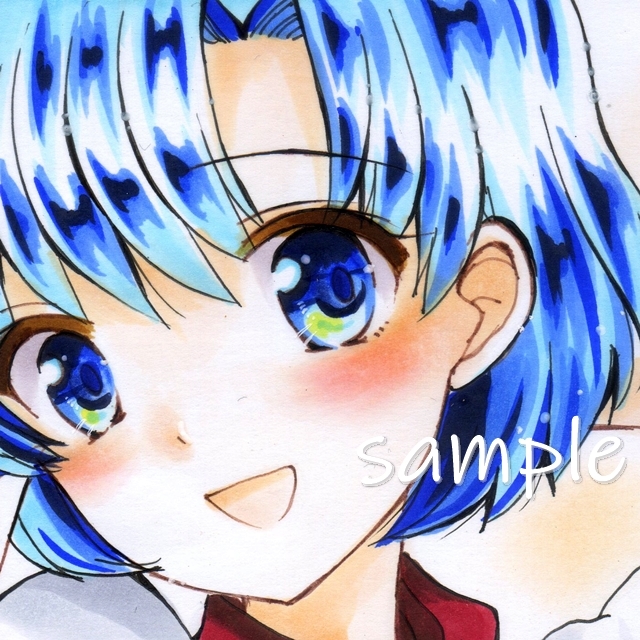 大人気，HOT 【A4 水野亜美 セーラーマーキュリー 同人手描きイラスト