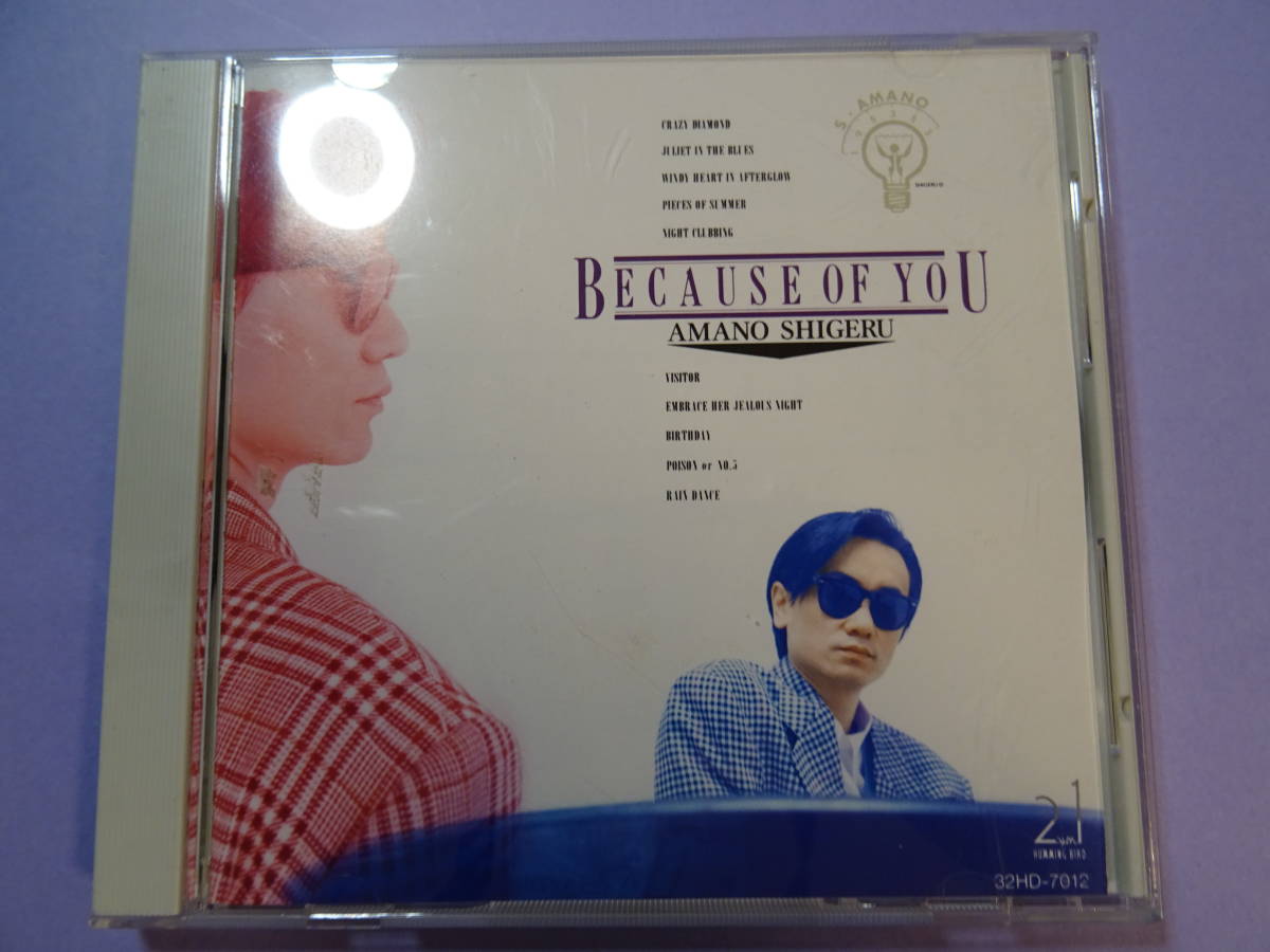 天野滋 306/CD/BECAUSE OF YOU 天野滋 NSPアルバム情報天野滋 【公式通販】