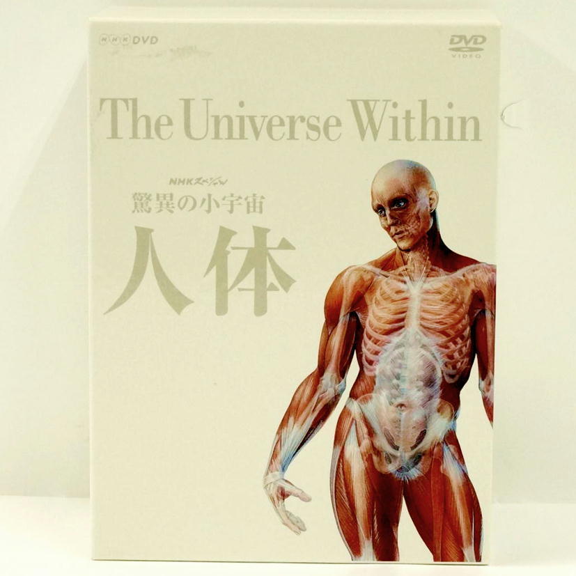 2026年最新Yahoo!オークション -清水義久 dvdの中古品・新品・未使用