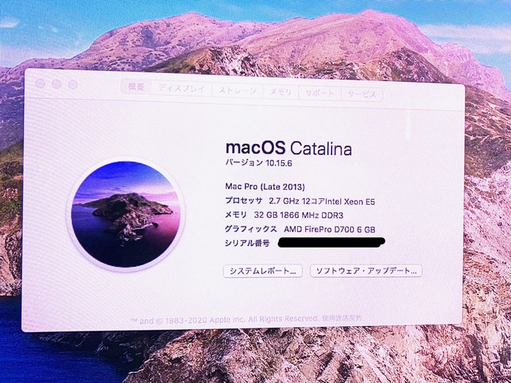 Apple Mac Pro Late 2013 12コア 2.7GHz /D700 /32GB RAM /1TB SSD /Catalina _4