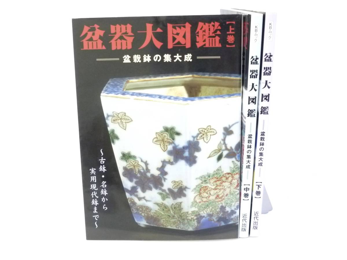 盆器大図鑑 中巻 盆栽鉢の集大成 古鉢 名鉢 盆器大図鑑 【中巻