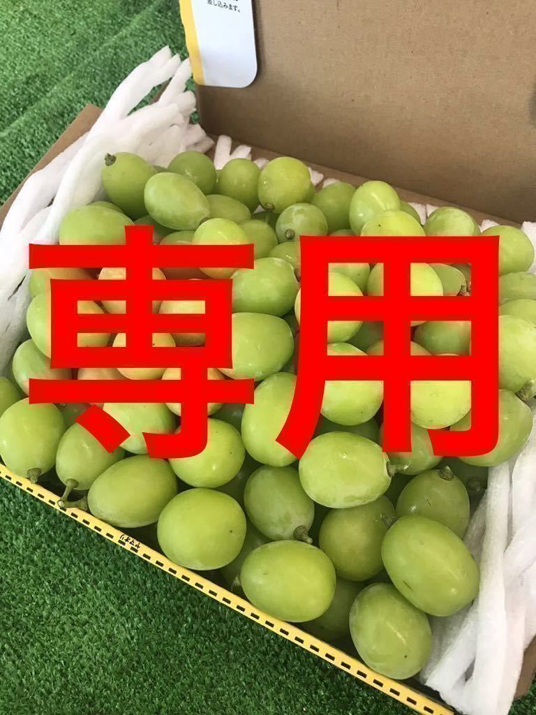 【格安】 山梨県産 わけあり つぶつぶシャインマスカット@(ブドウ)｜売買されたオークション情報、yahooの商品情報をアーカイブ公開 - オークファン ブドウ